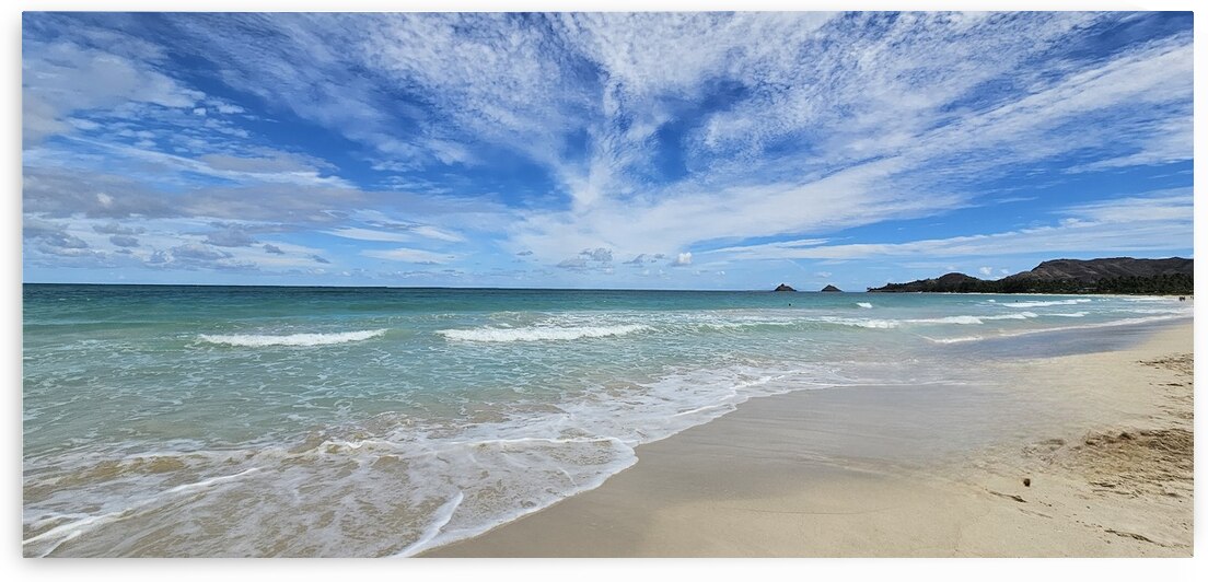 Hawaii Beaches by Jennifer Cisneros