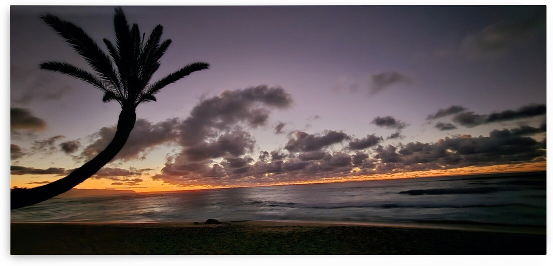 Sunset by Jennifer Cisneros