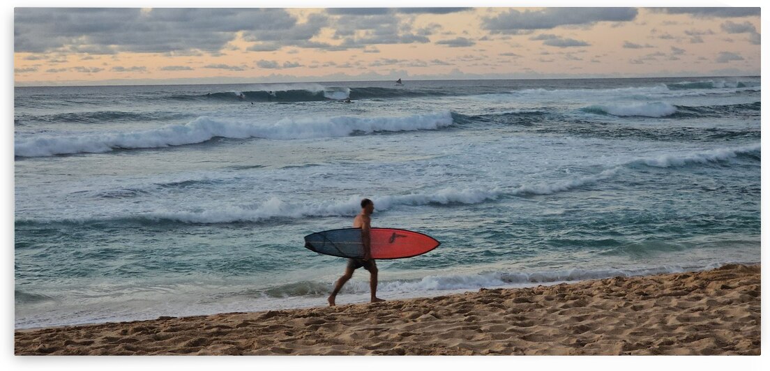 Surfer by Jennifer Cisneros