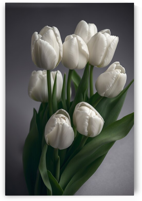 White Tulips  2 by The Mabazza Foundation 