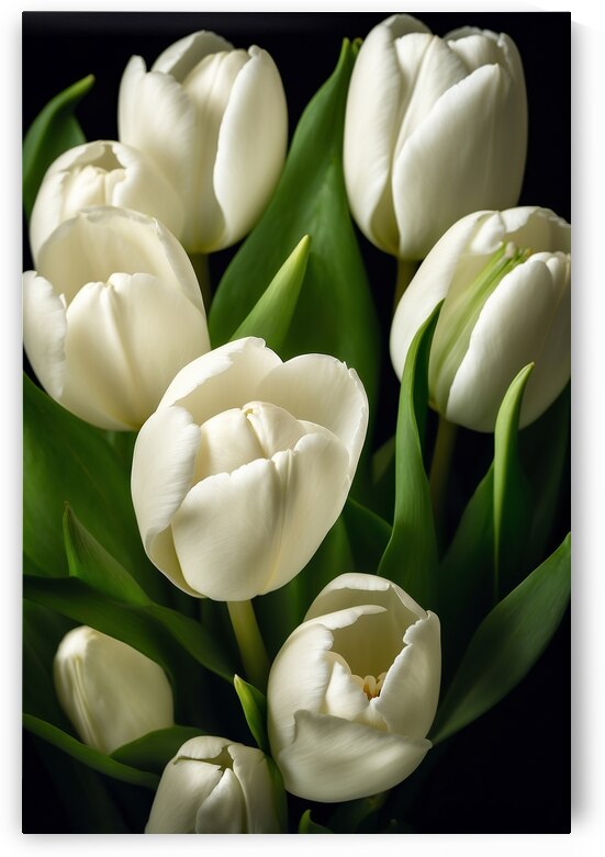 White Tulips  3 by The Mabazza Foundation 