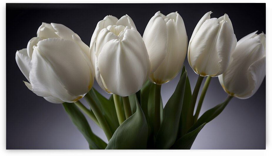 White Tulips  5 by The Mabazza Foundation 