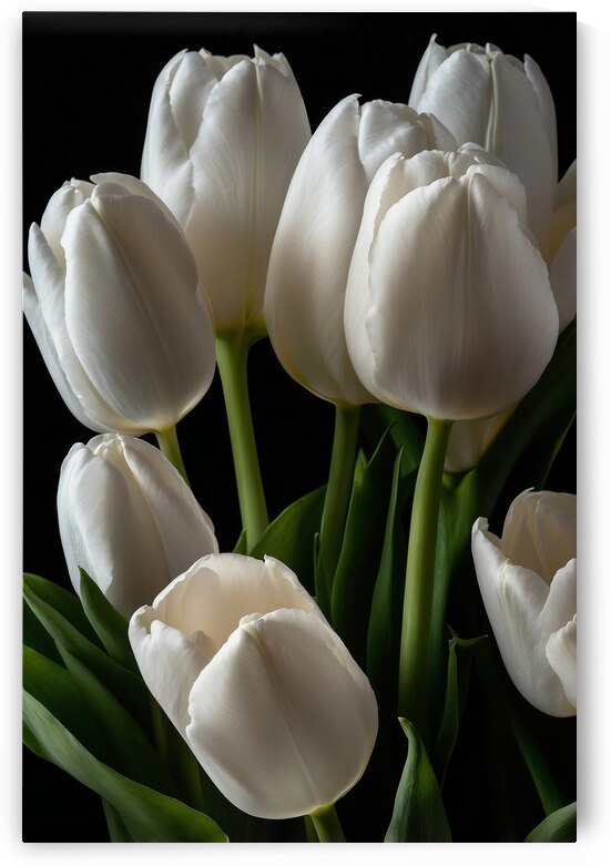 White Tulips  9 by The Mabazza Foundation 