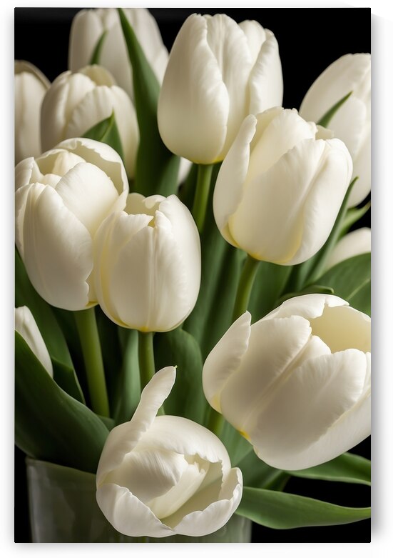 White Tulips  10 by The Mabazza Foundation 