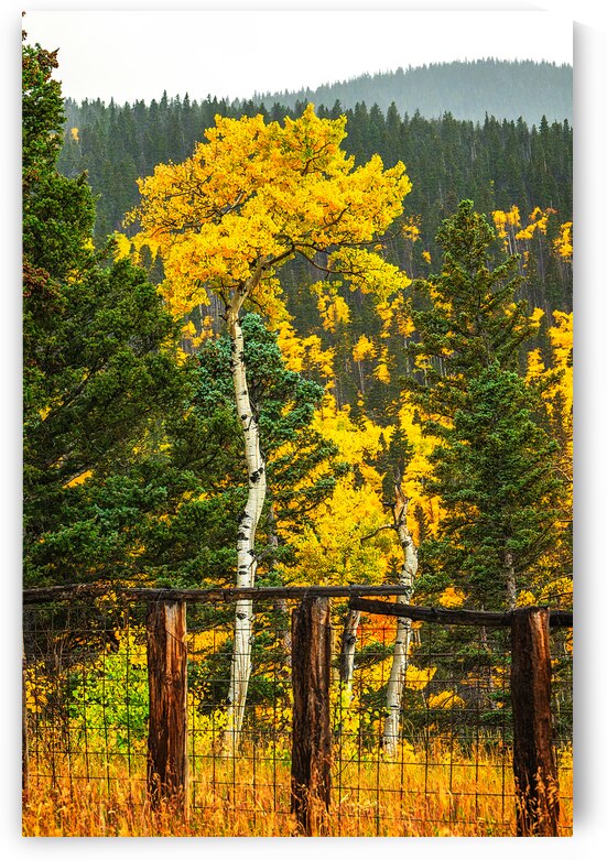 Private Fall Color by Andy Crawford