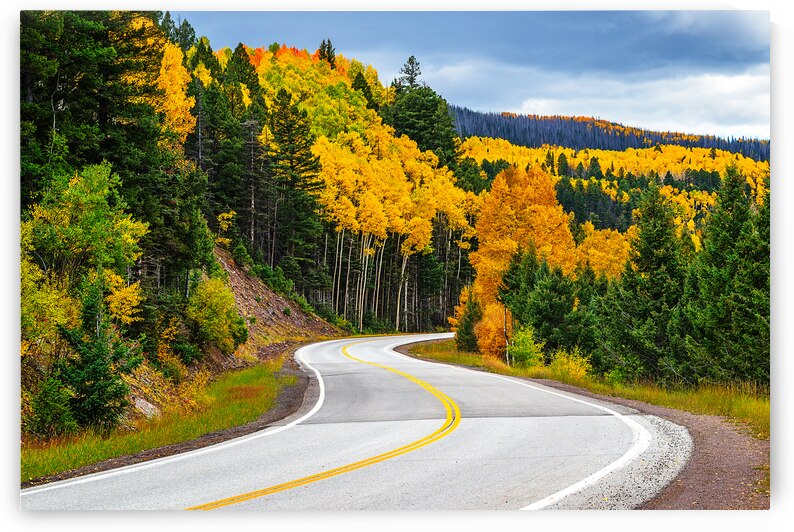 Autumns Journey by Andy Crawford