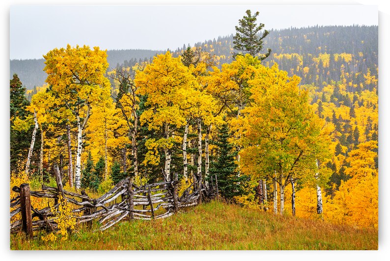 Autumn at Cucharas Pass by Andy Crawford