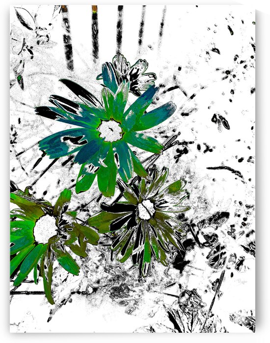 Abstract Bold Green and Black Daises  by Catriona Roberts Nature Photography and Designs