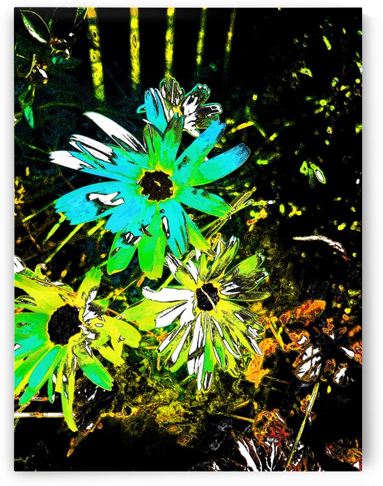 Abstract Blue and Green Daises by Catriona Roberts Nature Photography and Designs
