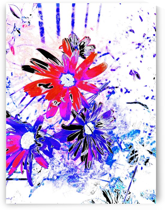 Abstract Red and Blue Daises by Catriona Roberts Nature Photography and Designs