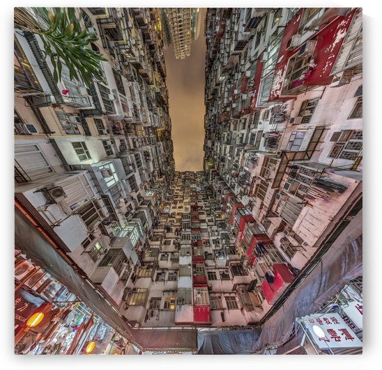 area 2 square rectilinear tilt 65 fov 120 by Jeffrey Martin