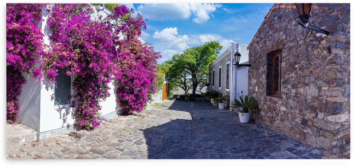 Uruguay colonial streets of Colonia Del Sacramento in historic center of Barrio Historico by Elijah Lovkoff