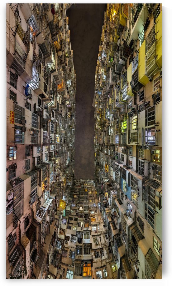 area 1 vedutismo portrait 30k by Jeffrey Martin