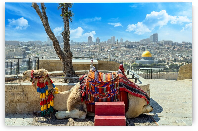 Jerusalem Islamic shrine Dome of the Rock located in the Old City on Temple Mount by Elijah Lovkoff