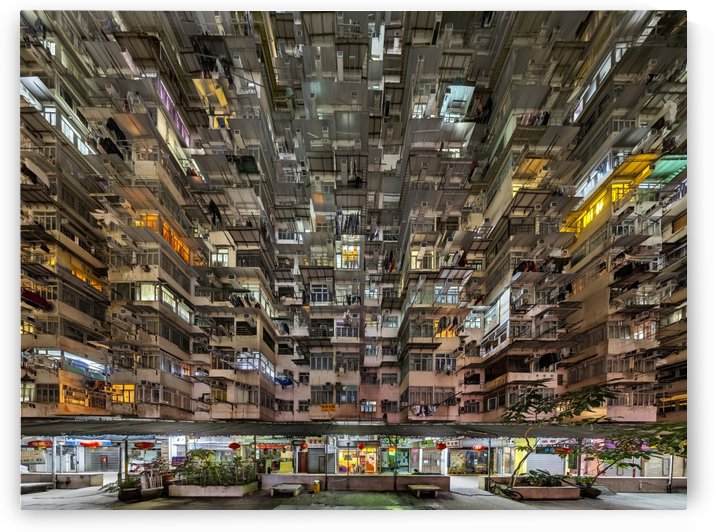 area 1 rectilinear LEFT 152x163 by Jeffrey Martin