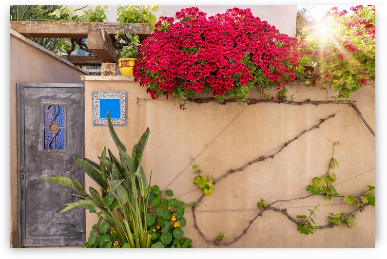 Israel Tel Aviv historic neighborhood Neve Tzedek with art galleries boutiques and old houses by Elijah Lovkoff