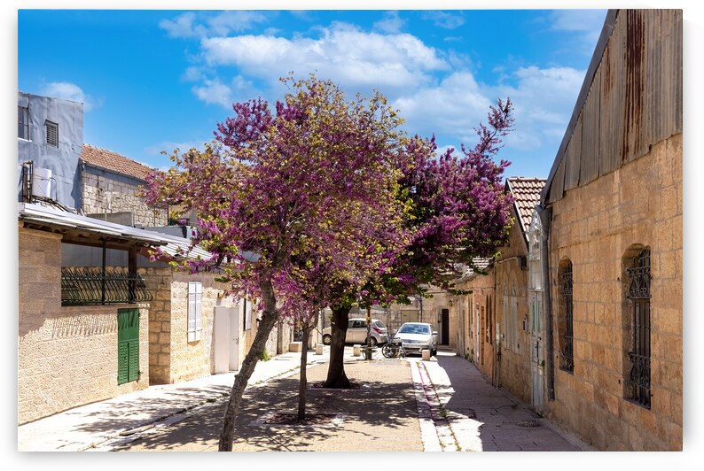 Israel Jerusalem old narrow streets of Nahlaot historic neighborhood with many small synagogues by Elijah Lovkoff