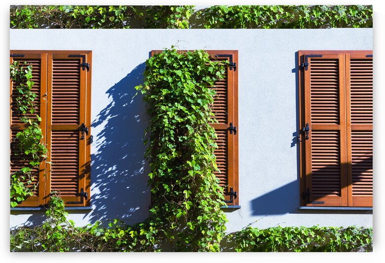 Israel Tel Aviv historic neighborhood Neve Tzedek with art galleries boutiques and old houses by Elijah Lovkoff