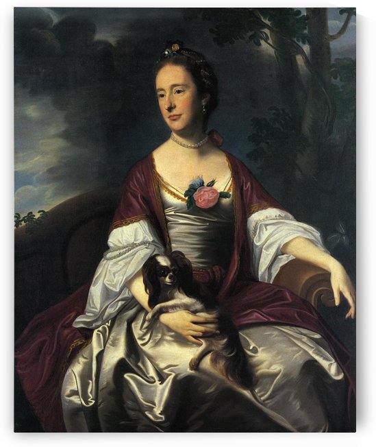 Mrs Jerathmael Bowers by John Singleton Copley