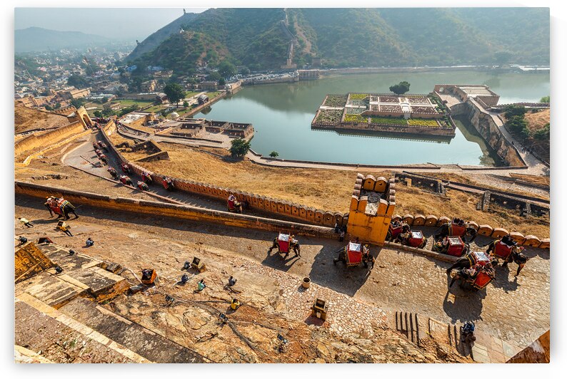 Tourists riding elephants on ascend to Amer fort by Dmitry Rukhlenko