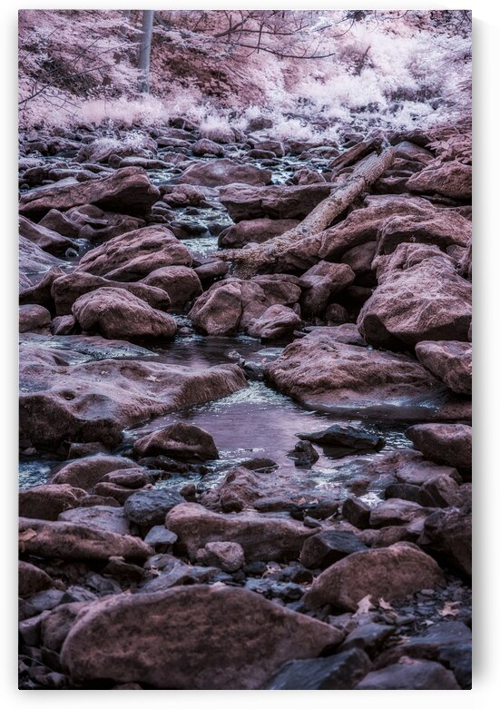 Mystical Creek Beneath the Purple Veil by Dream World Images