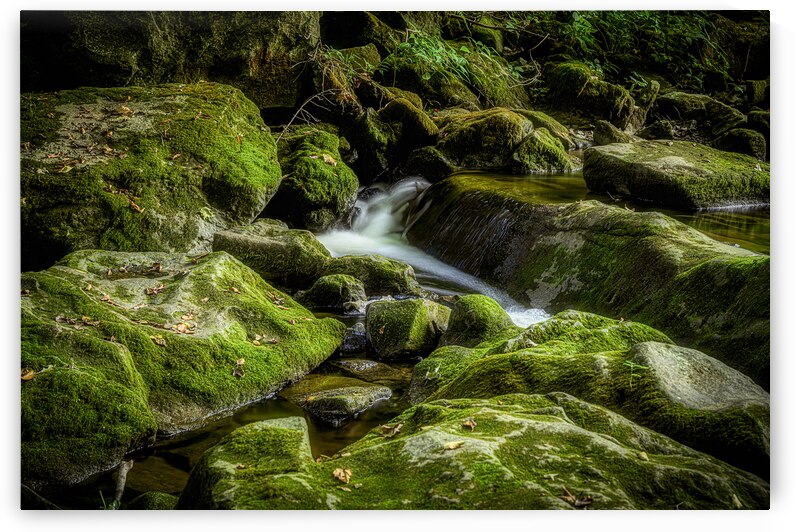 Silent Symphony of Flow by Dream World Images