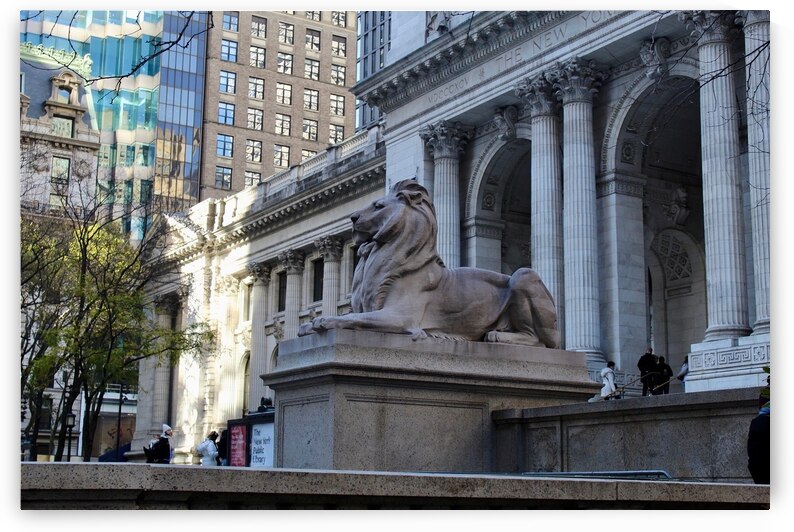 new york library by abbyk