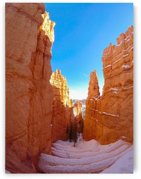 Wall Street in Bryce Canyon Utah USA by Maksim Zabarovskii