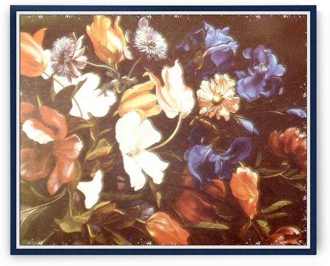  . Floral Explosion   9 by  Gloria Nova