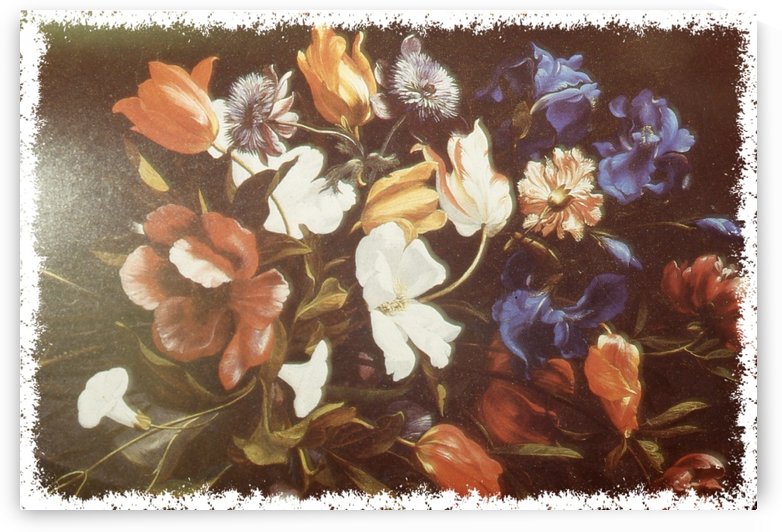  Floral Explosion  by  Gloria Nova
