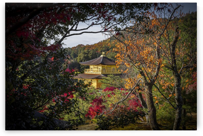 Kinkaku ji temple  in kyoto japan by Gualtiero Boffi
