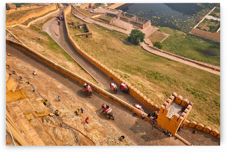 Tourists riding elephants on ascend to Amer fort by Dmitry Rukhlenko