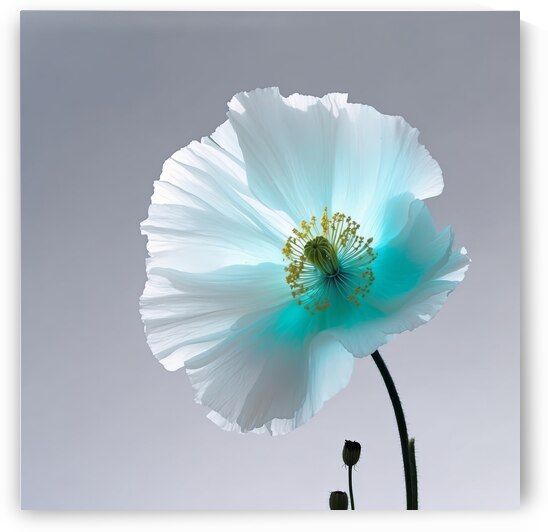 Poppies Redux 4 by The Mabazza Foundation 