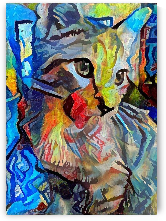 Cute Kitten by Bruce Rolff