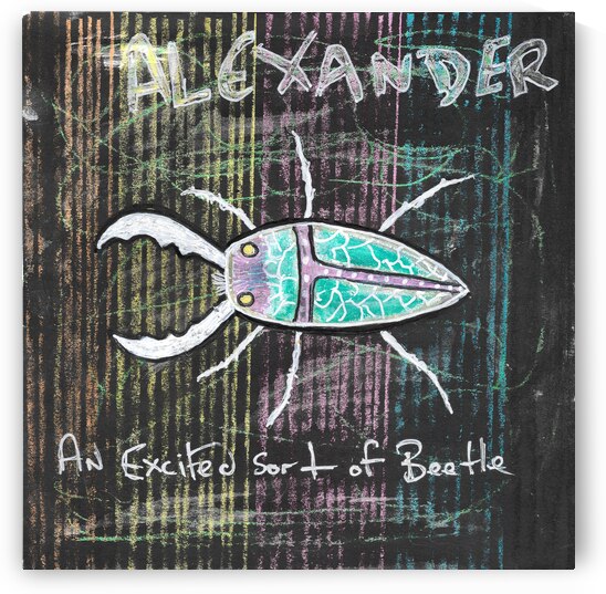 Alexander beetle by Robert Burton