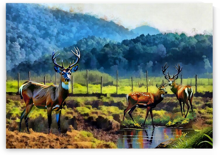 Bandung Deer 4k1 by Touristart25