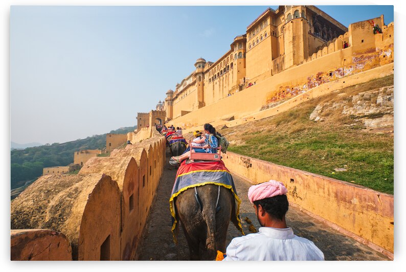 Tourists riding elephants on ascend to Amer fort by Dmitry Rukhlenko