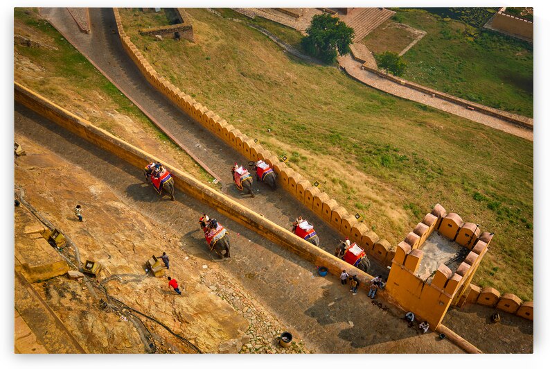 Tourists riding elephants on ascend to Amer fort by Dmitry Rukhlenko