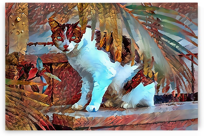 Peeking Out by HH Photography of Florida