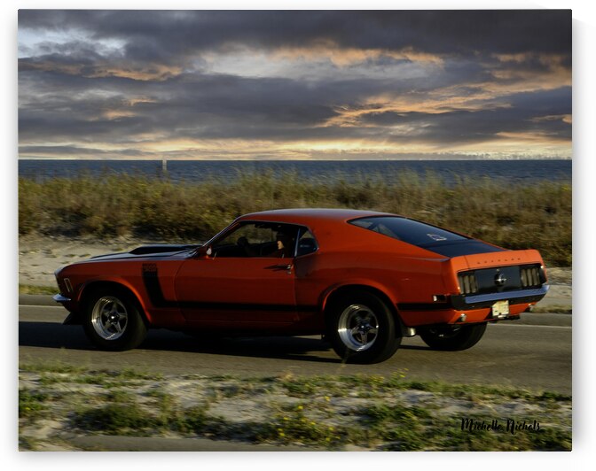Red Mustang w Black Stripe Rear View by Michelle Nichols