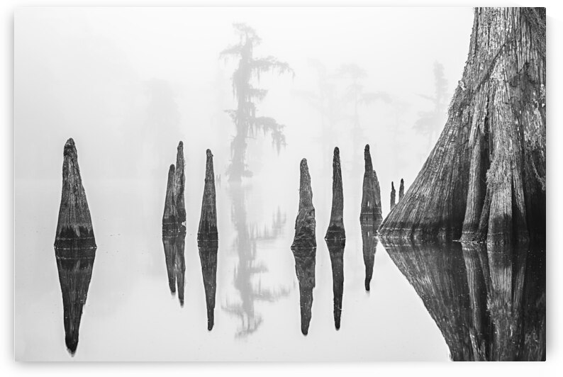 Reflections of Verret by Andy Crawford