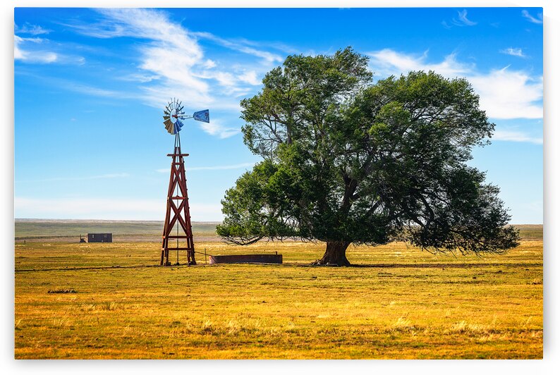 Volner Cattle Company Day Ranch by Andy Crawford