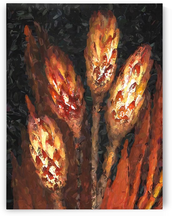 Scanned Seed Pods X100 by Rich Franco