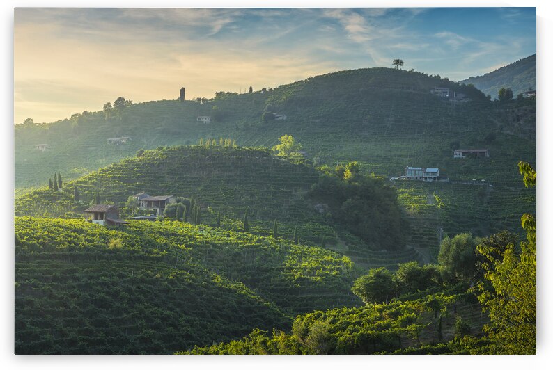 Prosecco vineyards landscape by Stefano Orazzini