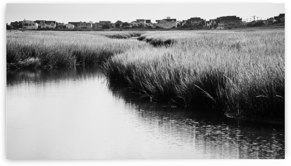 Edge of the Wetlands by Jason Fink