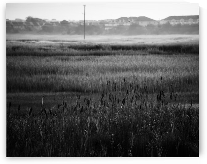 Fields of the Middle Thorofare by Jason Fink