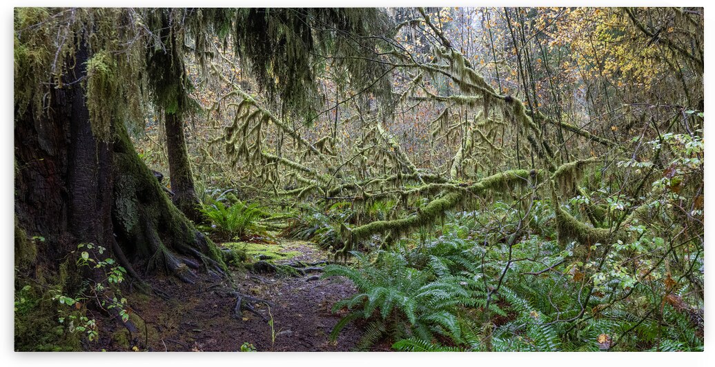 gcwDAV 5271 by David Northall