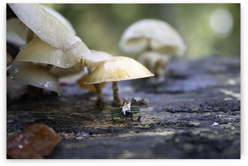 a man miniature from little world Relaxing on Bench Under Giant  by Chris Willemsen