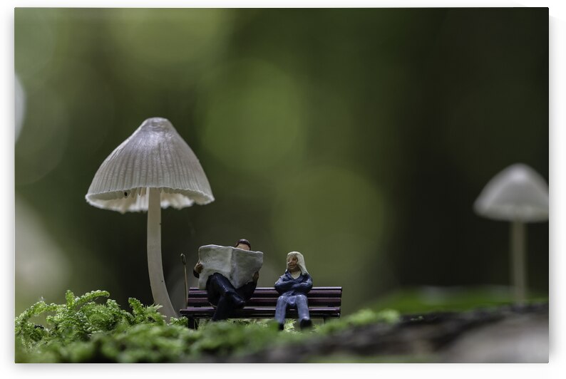 Miniature Figures Relaxing on a Bench Under Giant Mushrooms by Chris Willemsen