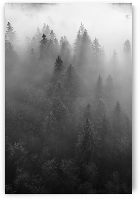 Atmosphere 8 by Kelly Corder